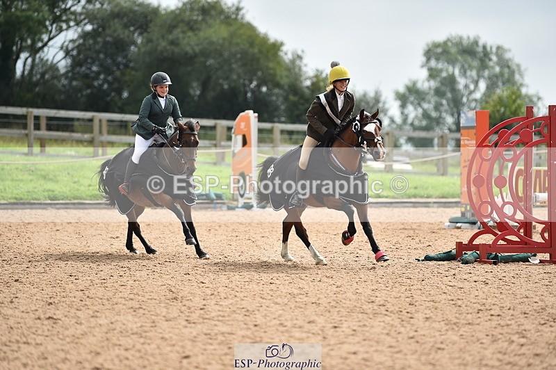 230902A-120824-00933 - Cls 2B Pony Small 80cm