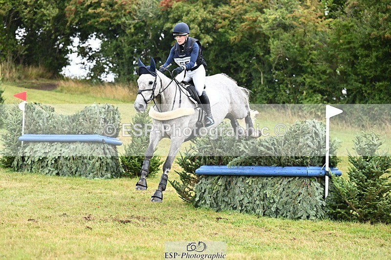 TS_b2744320 - SAT BE 90 Recovered Files fence 8