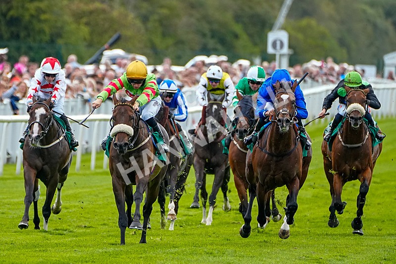 050926-Race 5-Grasmere Boy-1 - Race 5 3.50pm Rudding Park Harrogate Handicap