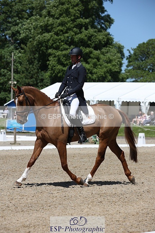 230526-115502-06128 - 157-GODSEND_DU_GIVRE-Henry_Dove-WEDTrotUp+DR