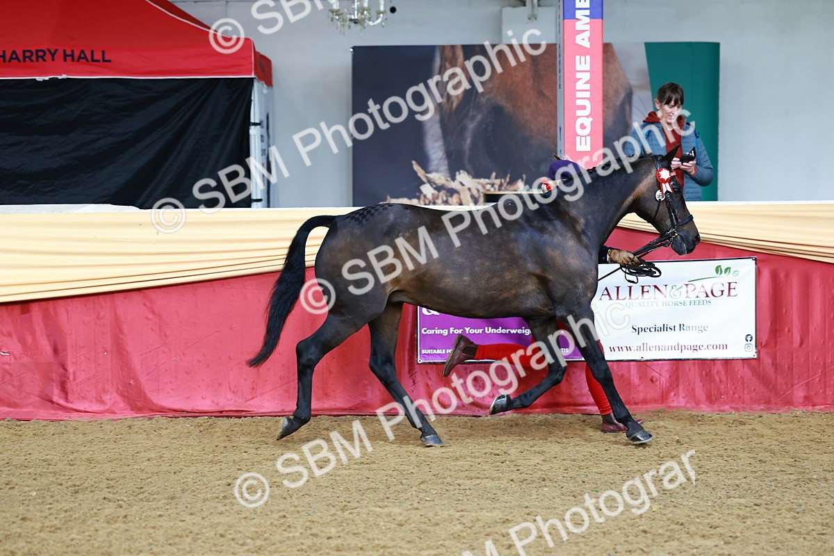 SBM_21955 - Class 901 - Supreme Final - IH  Diamond