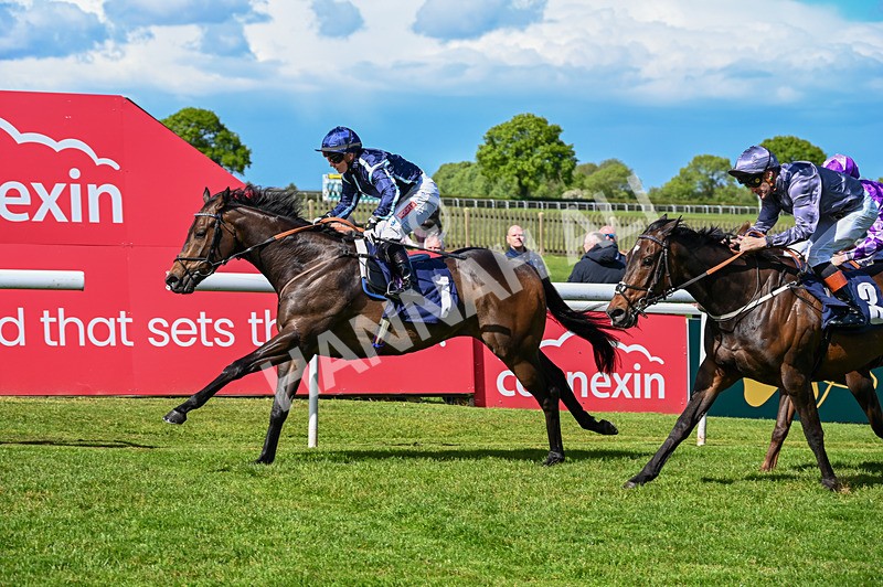 120526-Race 3-Merlier-7821 - Race 3 3.30pm Bowel Cancer Screening Programme Saves Lives Selling Stakes