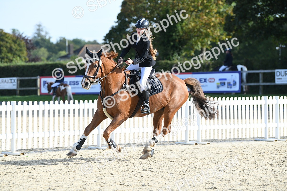SBM_60567 - j25 - Junior Horse 80cm Championship