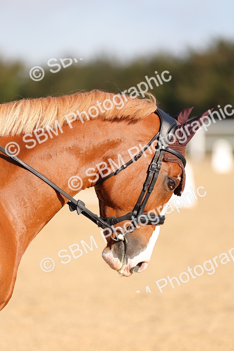 SBM_000320 - Class 3-6 - MQ U21 Intro 3 - Open P1