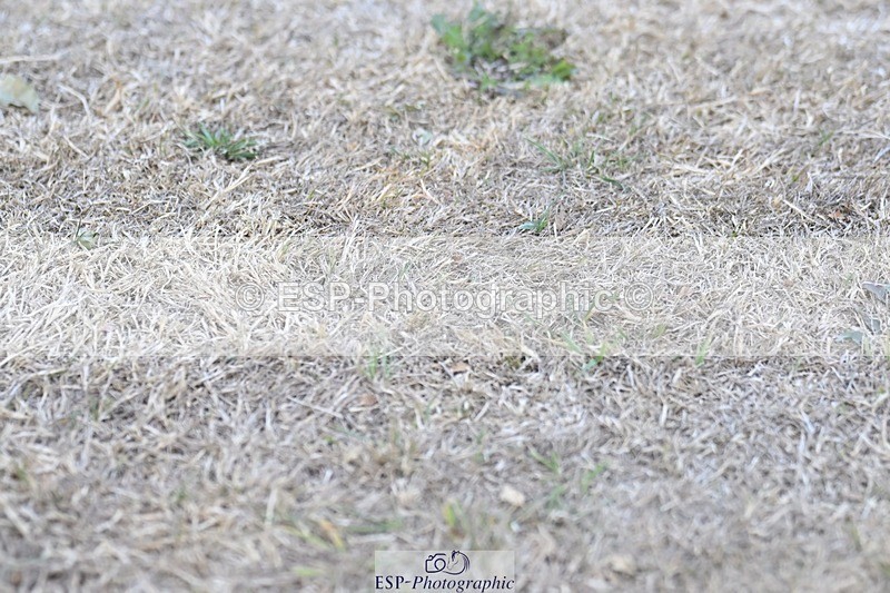 250823A-183716-34351 - All Sat Presentations