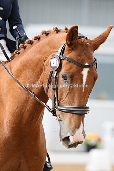 SIAL8876 - GDG Bogenraith Friday 26th Sept 2025