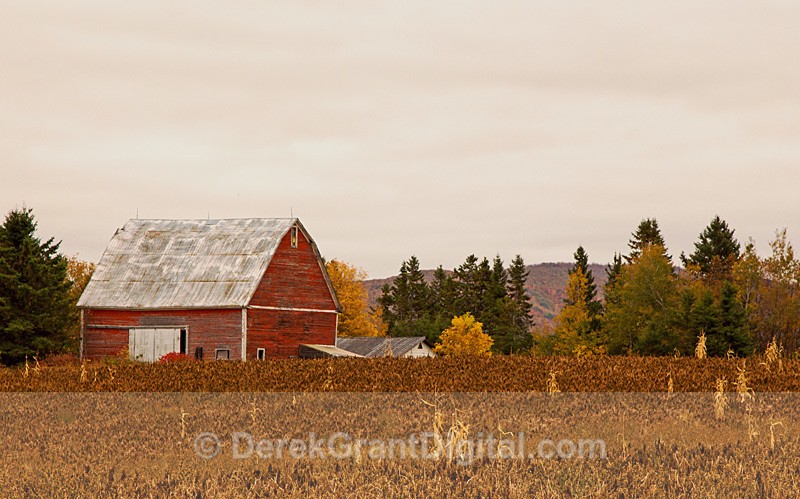Vintage Red Barn - New Brunswick Canada - Old Barns & Buildings