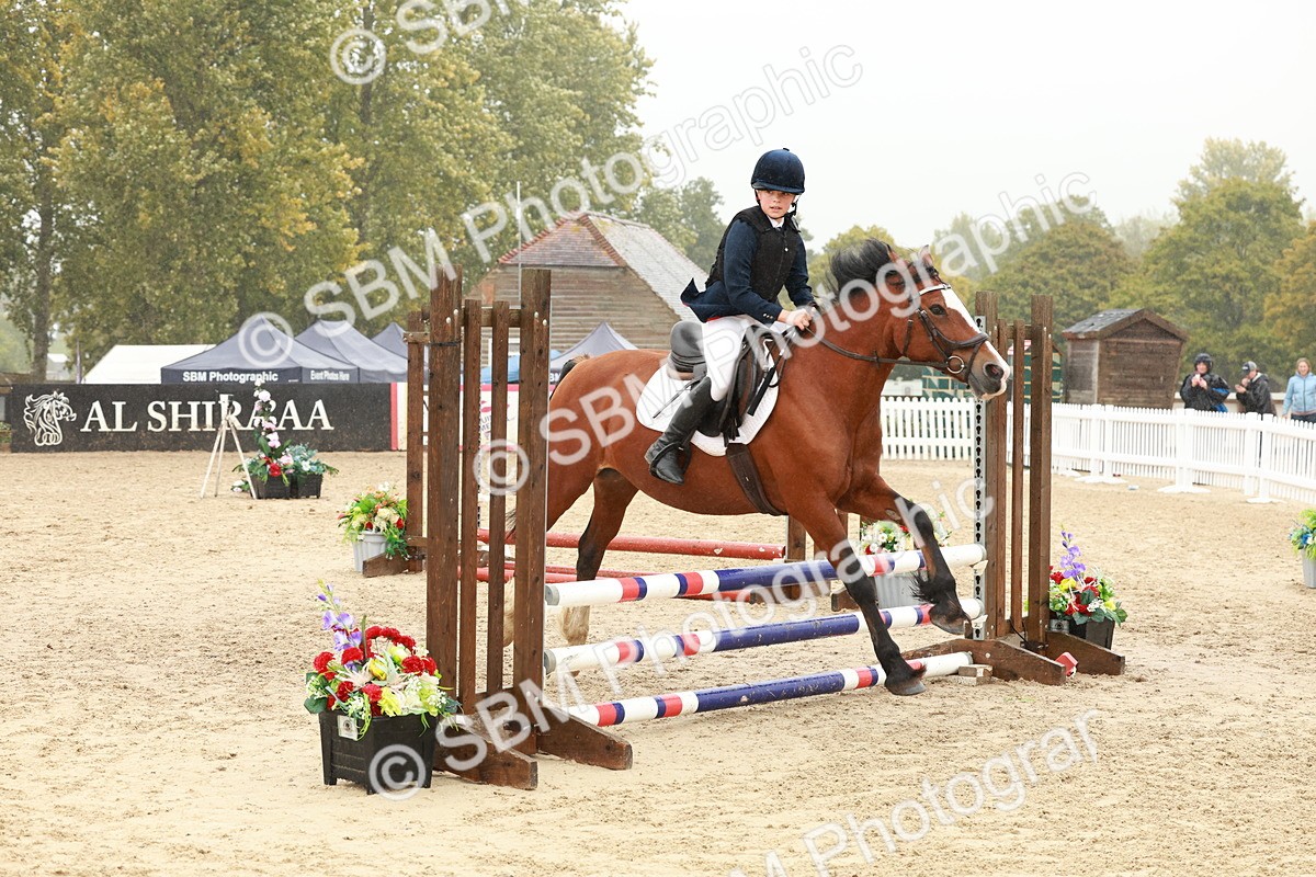 SBM_71277 - J14 - Junior Pony 65cm Championship