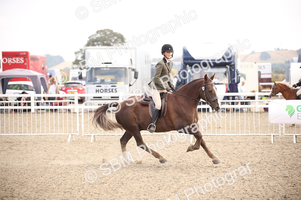 SBM_16039 - Class 408b - Working Veteran 70cm (20+)