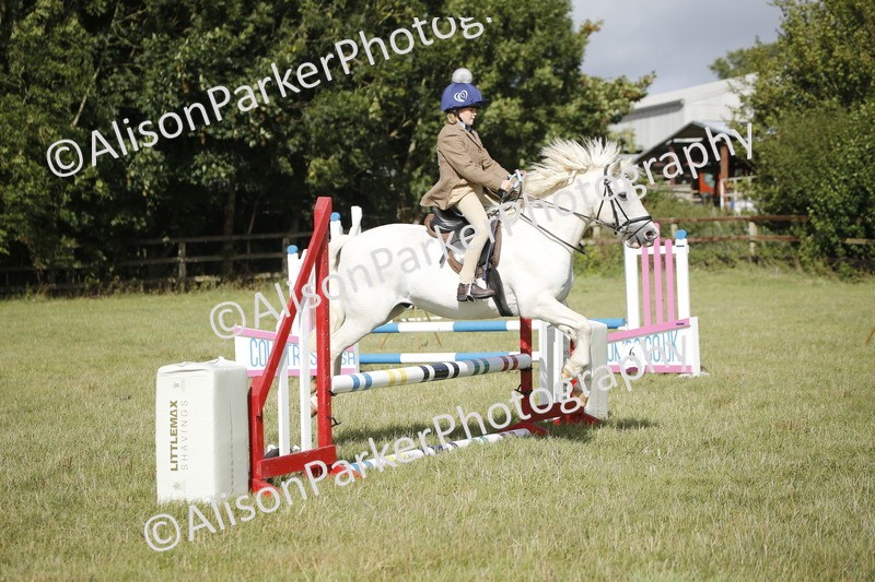 20250831-0605 - Class 2 - 60cm