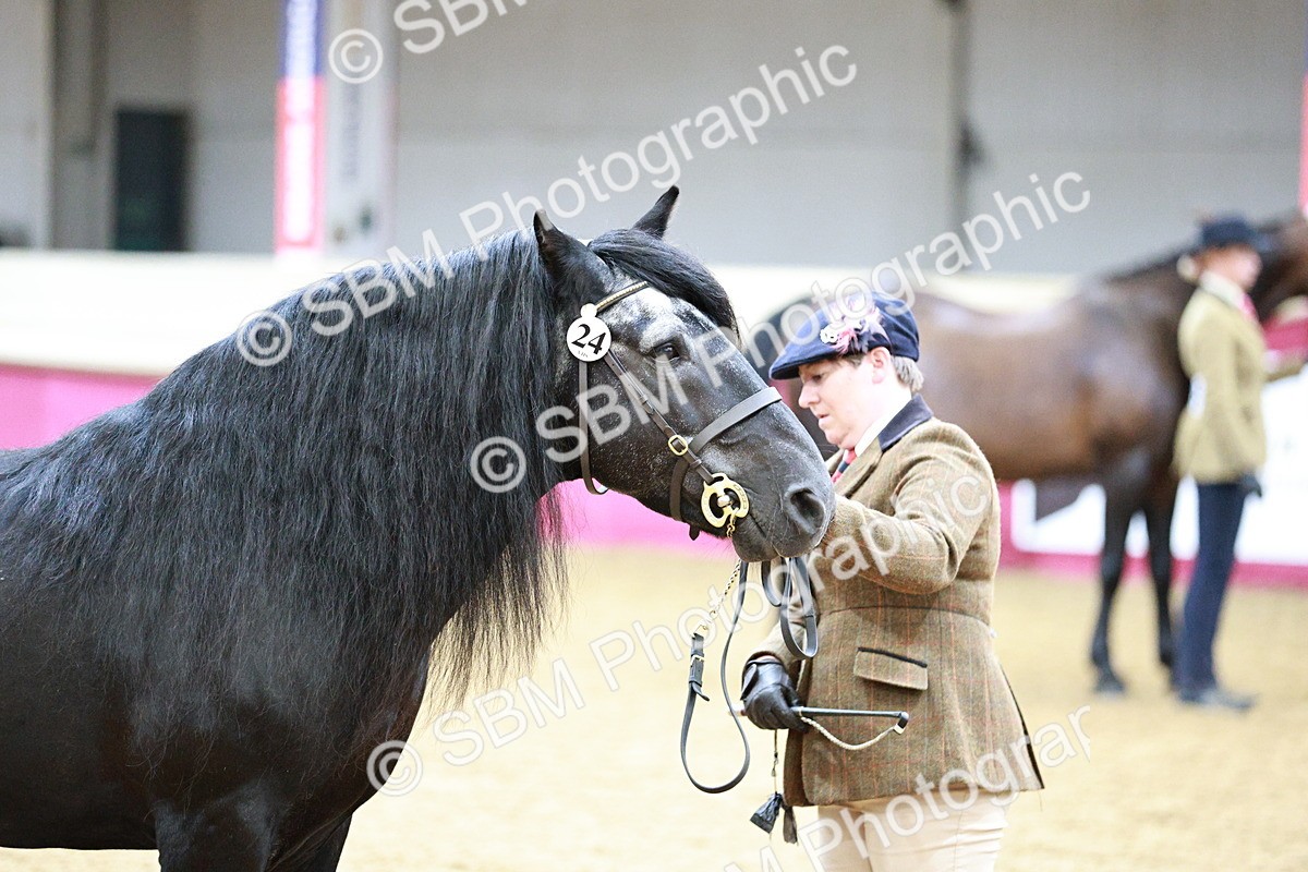 SBM_00970 - Class 2A - Area IH Veteran