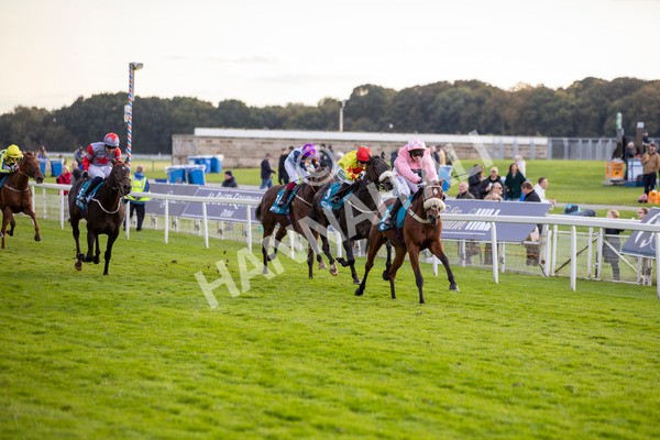 111024-Race 7-On The River-7069 - Race 7 4.55pm Ire Incentive, It Pays To Buy Irish Apprentice Handicap