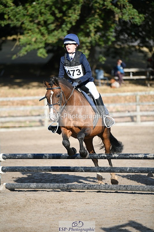 250822A-083200-18498_NAF Round 1 Start to 910 - 790-967-2218