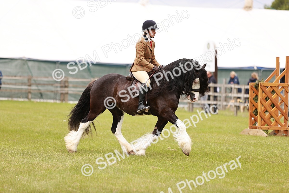 SBM_06189 - Class 39-41 TGCA In Hand and Ridden