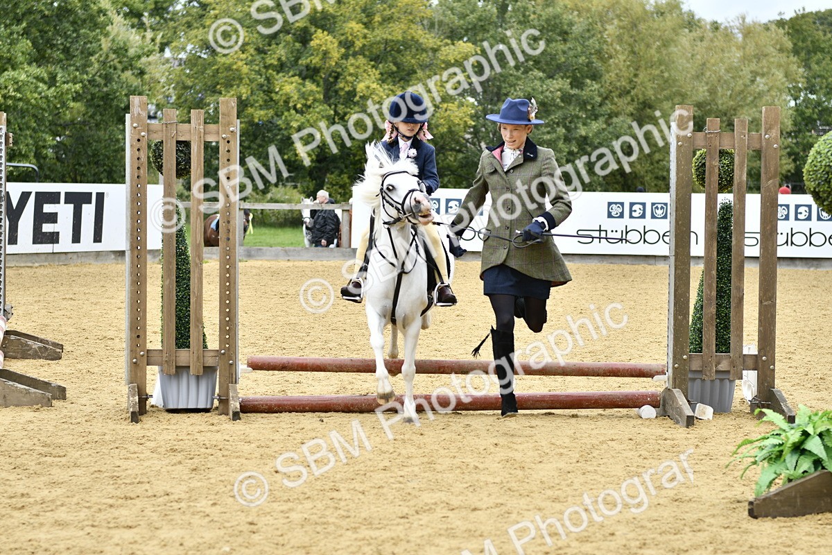 SBM_62841 - J1 - Mini Tour Junior Pony Lead Rein 30cm Championship