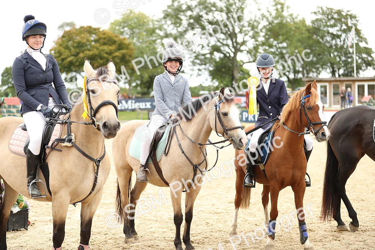 SBM_66065 - J48 - Pairs Jumping Open 70cm & 85cm