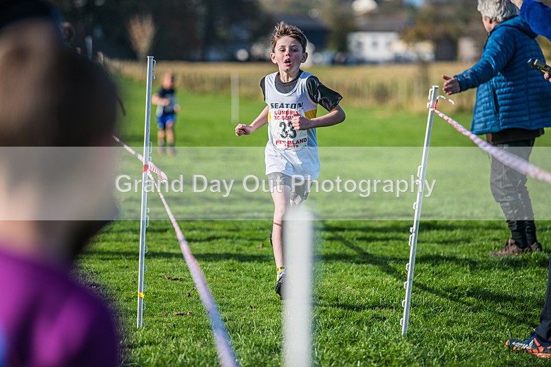 Cumbria XC-20 - Cumbria XC League Workington Saturday 26th October 2024