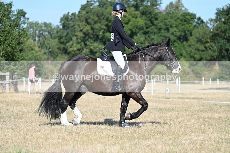 WJ7_9135 - Time 09:27 to 10:03