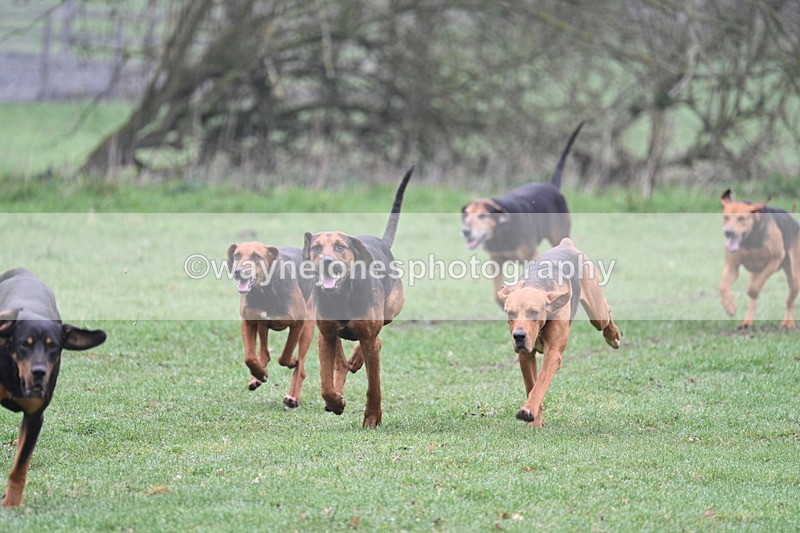 WJ7_0049 - Line 1 cam A