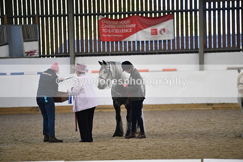 WJ5_5566 - Class 4 In hand M&M - small breeds