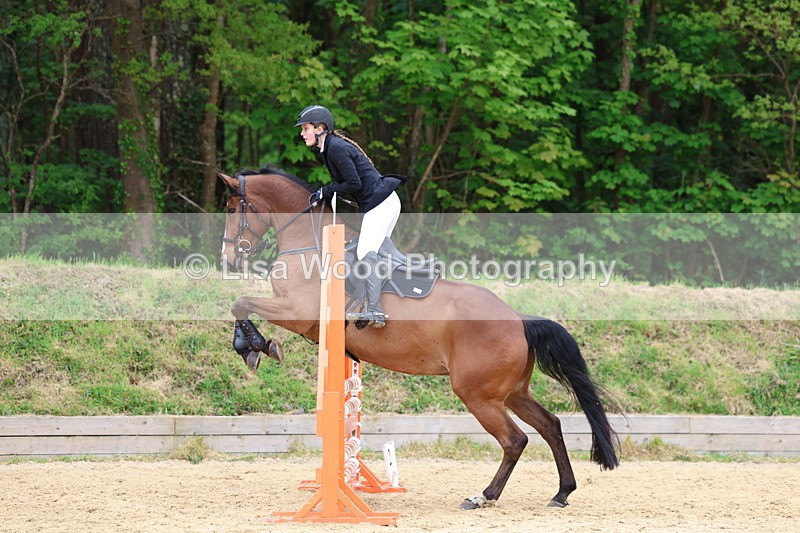 3E7A6034 - Class 4: Senior British Novice/90cm open
