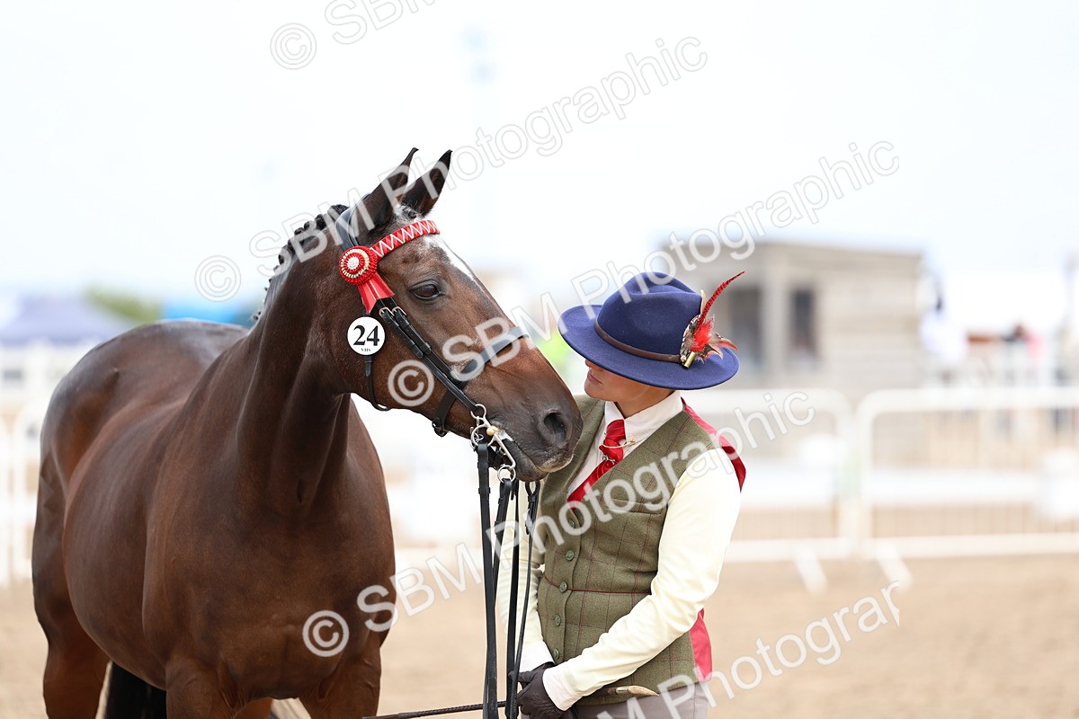 SBM_01504 - Class 17 - Prettiest Mare