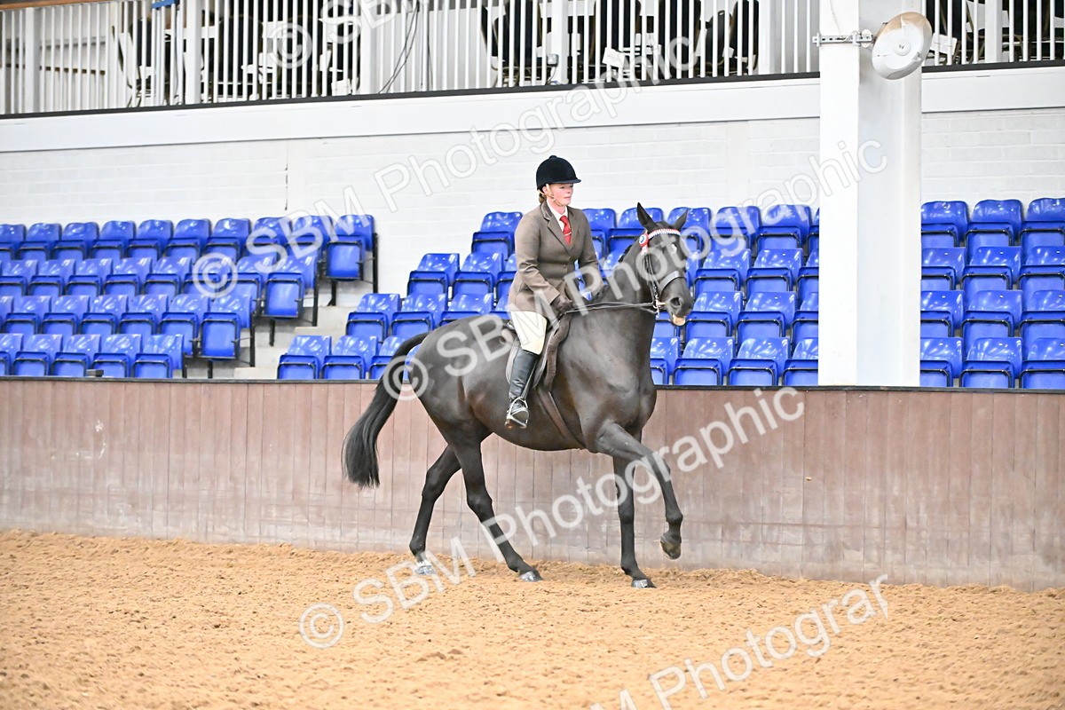 SBM_001890 - Class 25 - Tattersalls ROR Amateur Ridden
