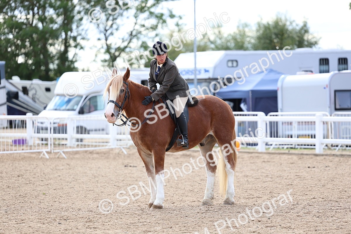 SBM_17264 - Class 315 - Best Horse - Rider Combination