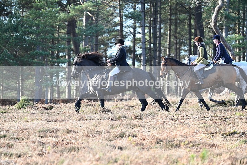 WJ7_7043 - Line 3 (no line 4 or 5)