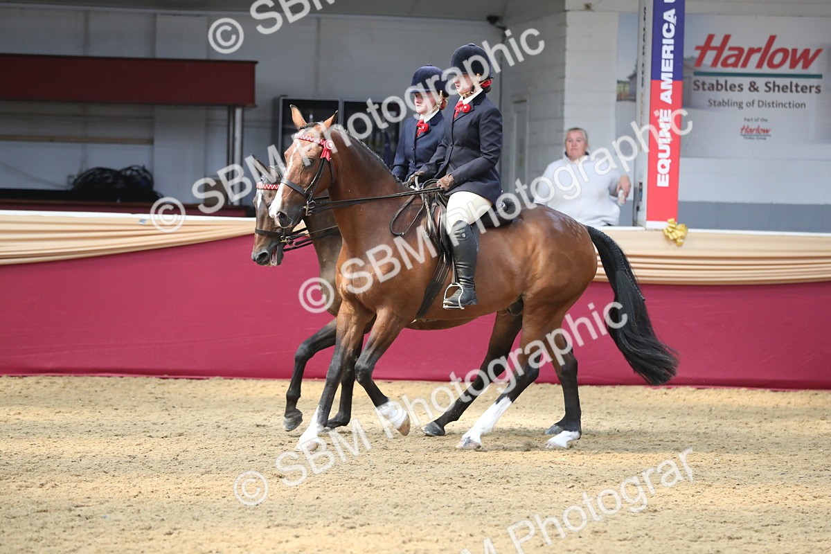 SBM_13651 - Class 109 Ridden Pairs - Section B