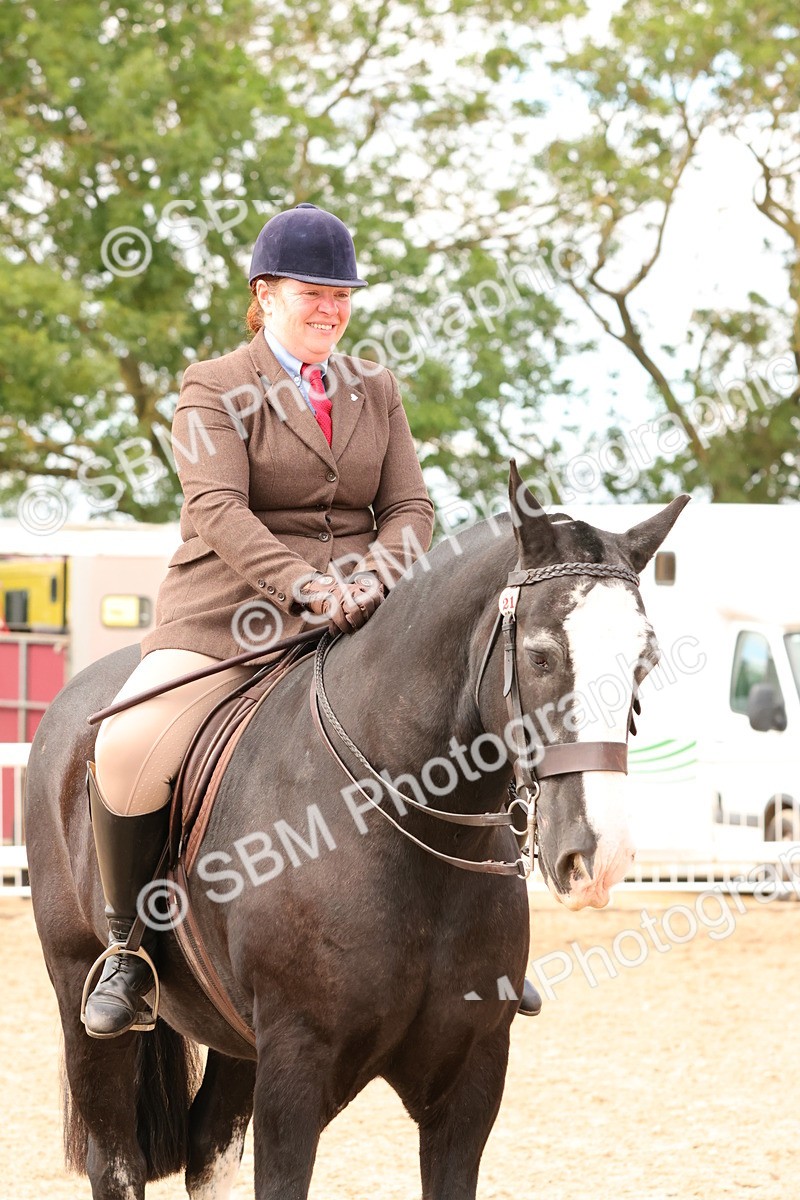 SBM_15575 - Class 214 - Ridden Show Cob