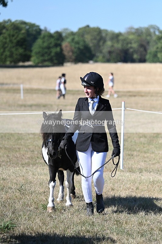 WJ7_2008 - Class 43 Best Six Legs (In hand)
