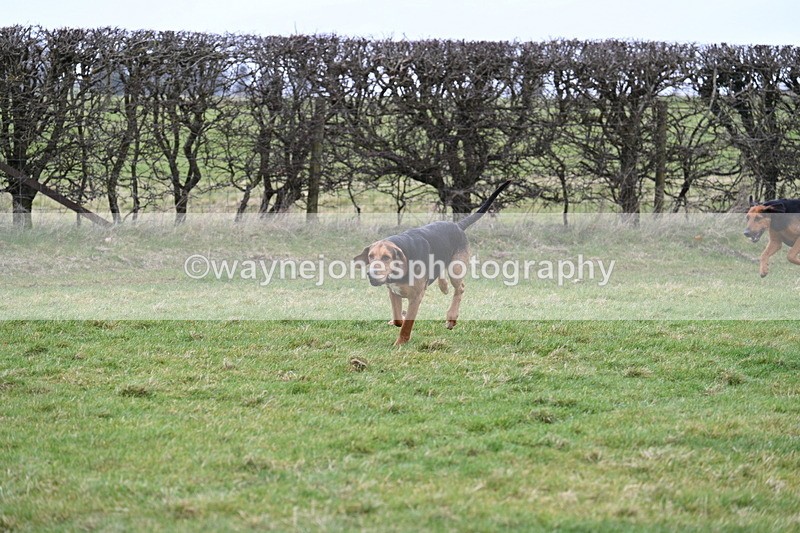 WJ7_4319 - Cam A