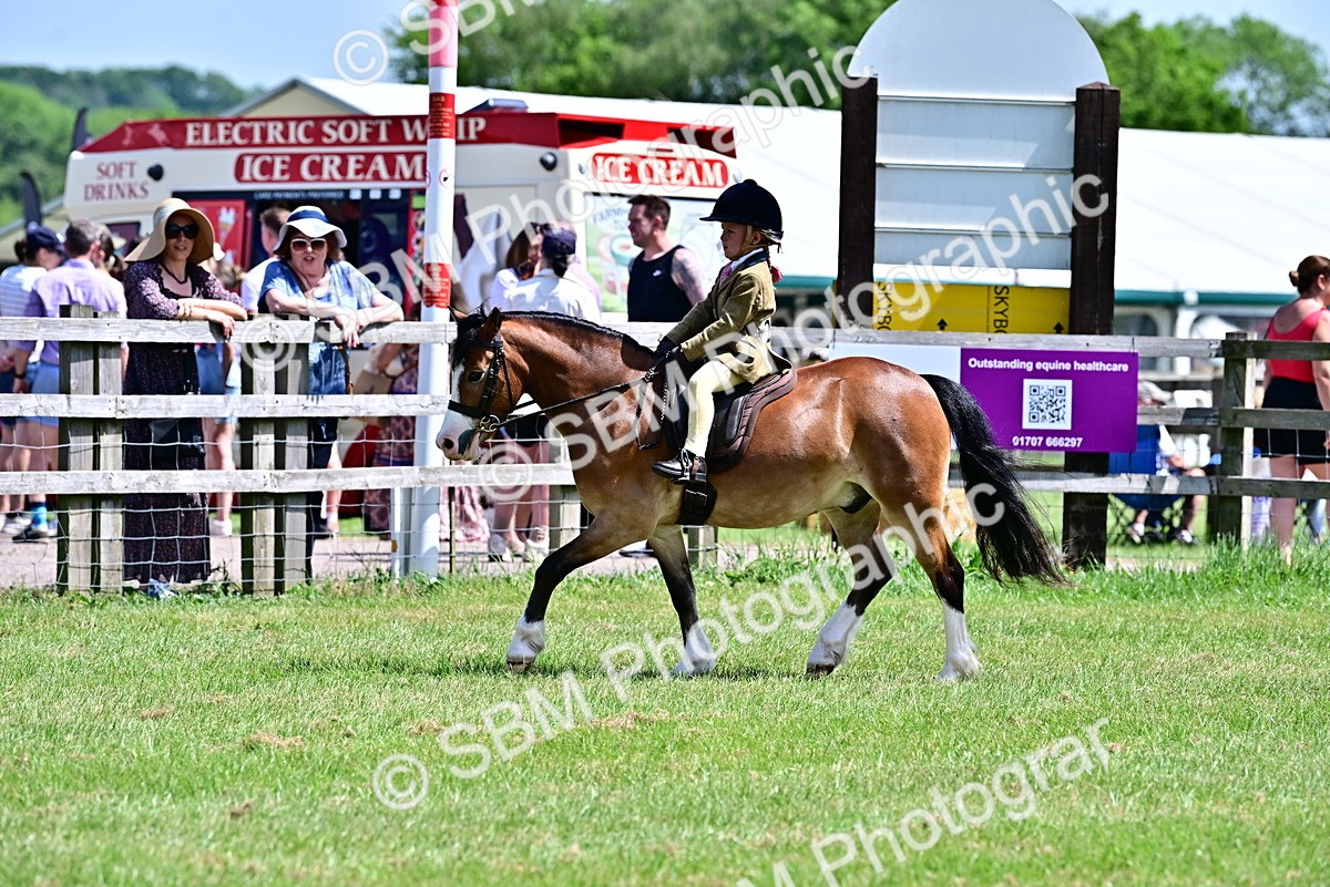SBM_06114 - Class 59-60 - TSR M&M  Lear Rein and First Ridden Amateur of the year