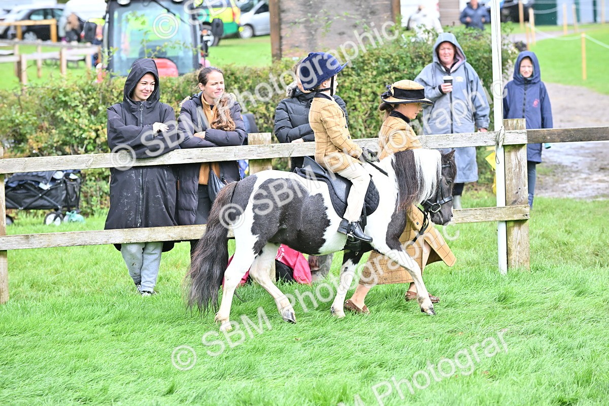 SBM_40130 - S20 - Lead Rein Mountain & Moorland Pony