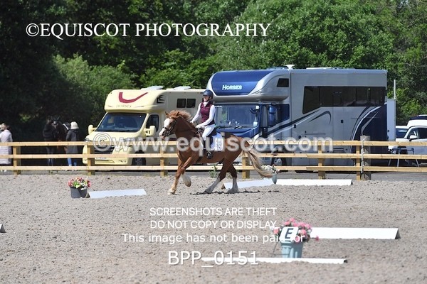 BPP_0151 - SHORT ARENA  MY QUEST PRELIM