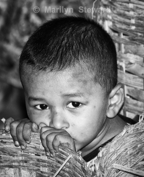 Hiding - Exhibition acceptances