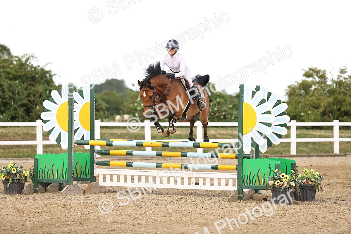 SBM_002568 - Class 19 - Nupafeed Supplements Senior Discovery - 1.00m