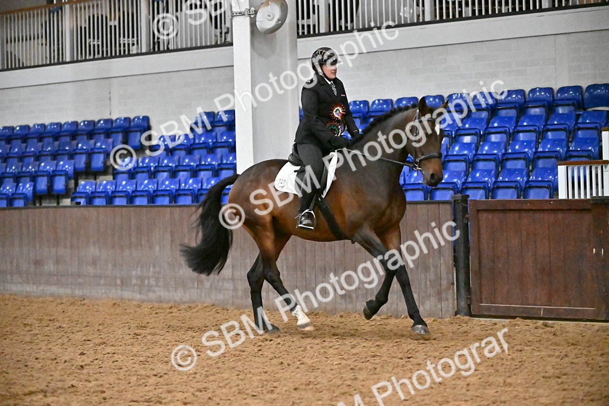 SBM_003064 - Class 37,38 - UKPSAF Performance Horse & Pony