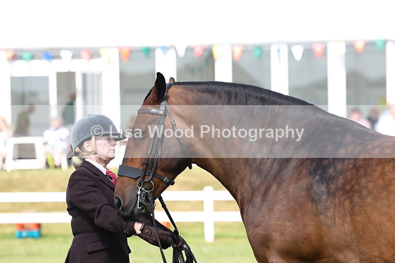 3E7A0023 - Class 5: Rising Star Lightweight/Heavyweight Cobs