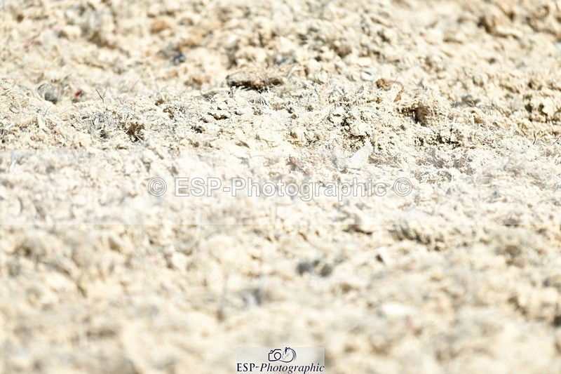 230623-140618-02451 - Cls 12 FEI Intermediate I