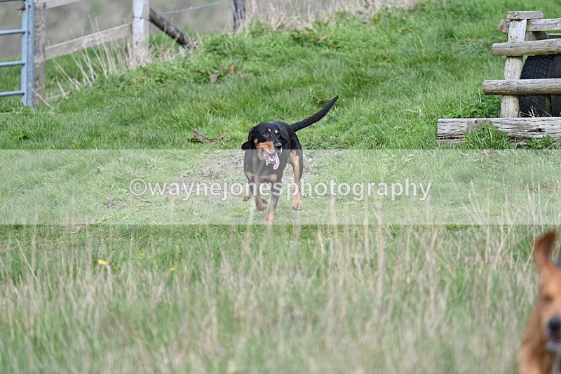 WJ7_8037 - Line 2 A camera