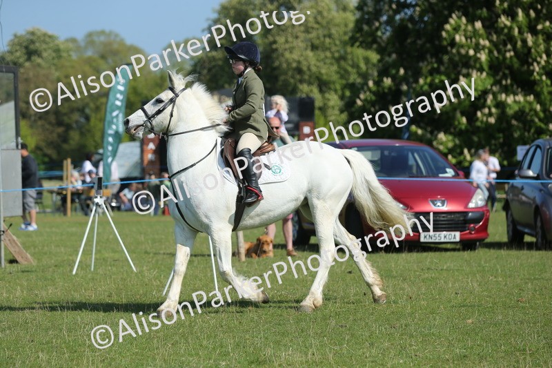 20250427-1136 - Class 1 - Mini Jumping Lead Rein or Assisted