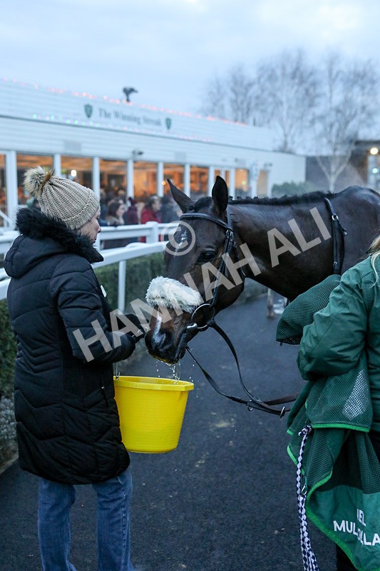 010124-Race 6-Abbeyhill-4564 - Race 6