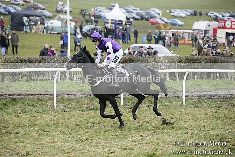 PtP 020418 -490 - Old Berks Point-to-Point Races Easter Monday 02/04/18