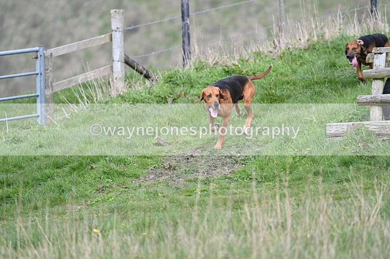 WJ7_8029 - Line 2 A camera