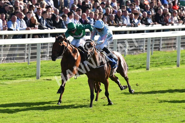 yr08102022r2-33 - Race 2 2.05pm The Coral Rockingham Stakes