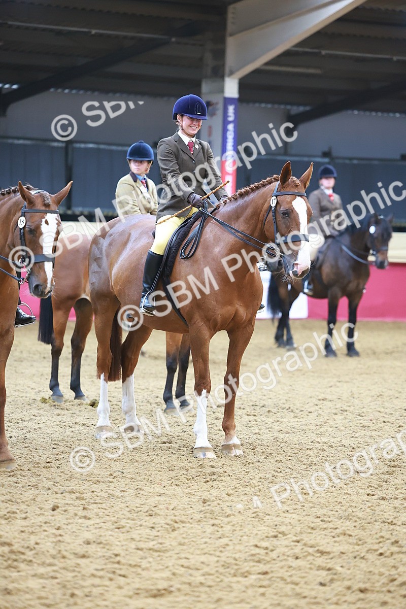 SBM_12684 - Class 103 - HOYS Veteran Qualifier - Ridden Pre Vet