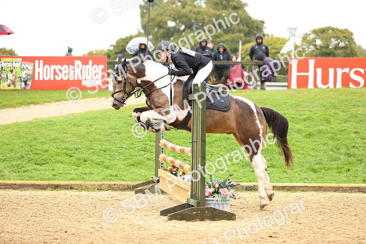 SBM_70009 - Supreme Championship 80cm 85cm