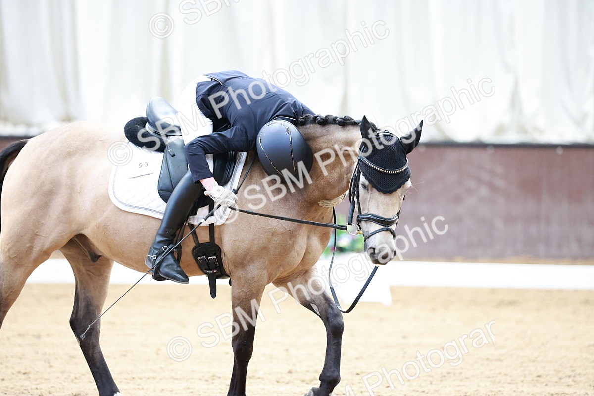 SBM_017249 - Class15 - FEI Pony